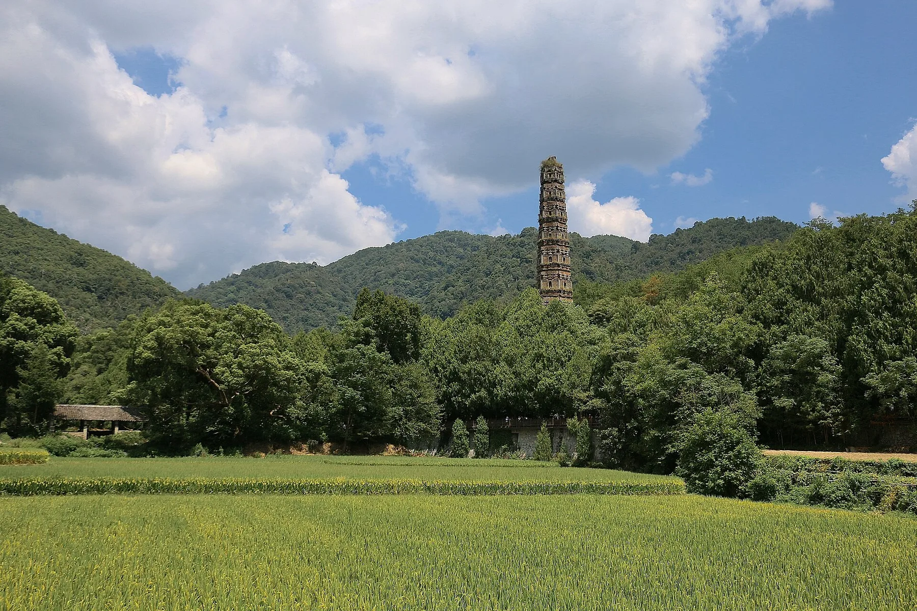国清寺外景，稻田远处可见隋塔与天台山
