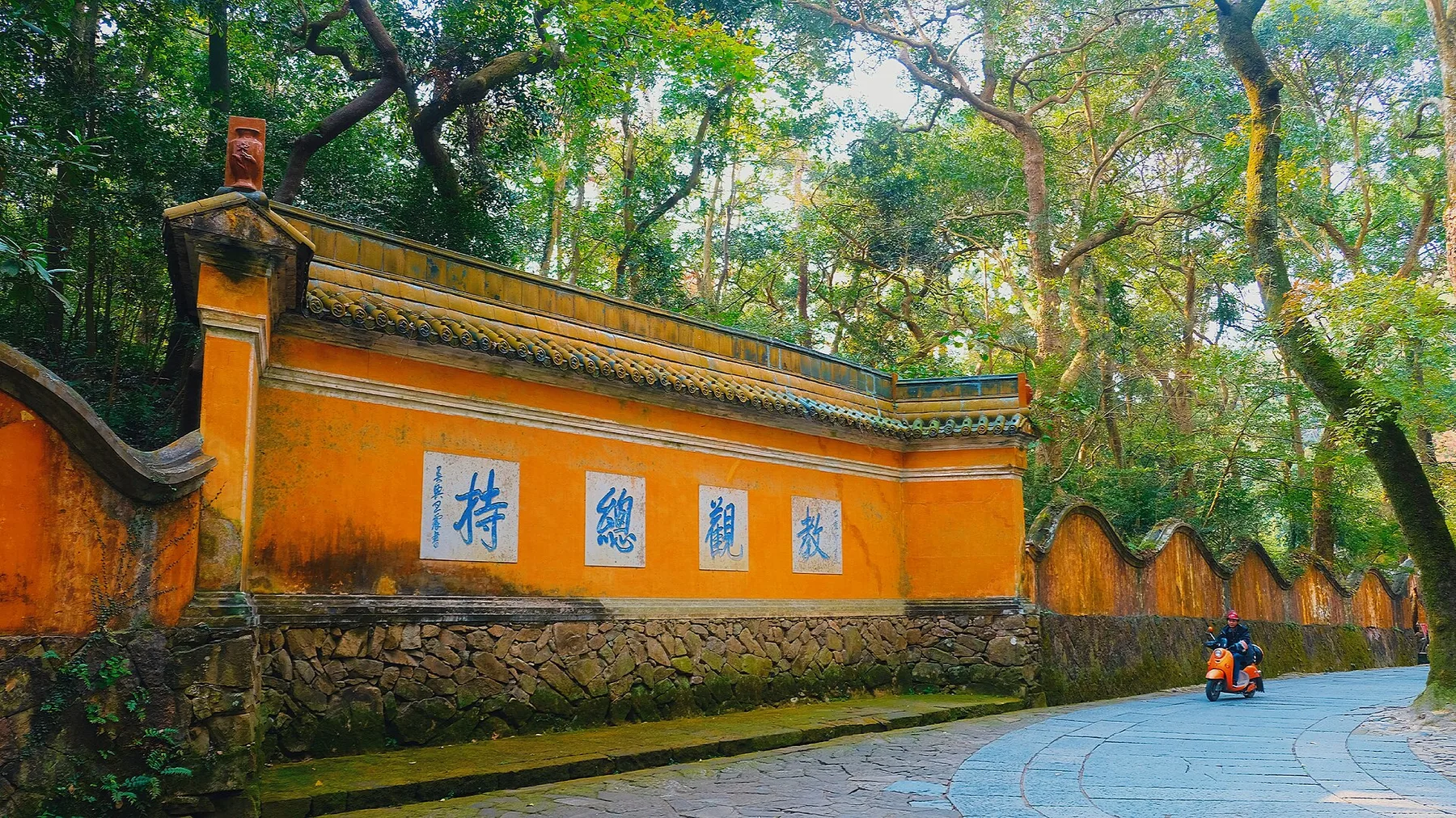 国清寺入口黄墙与林荫步道