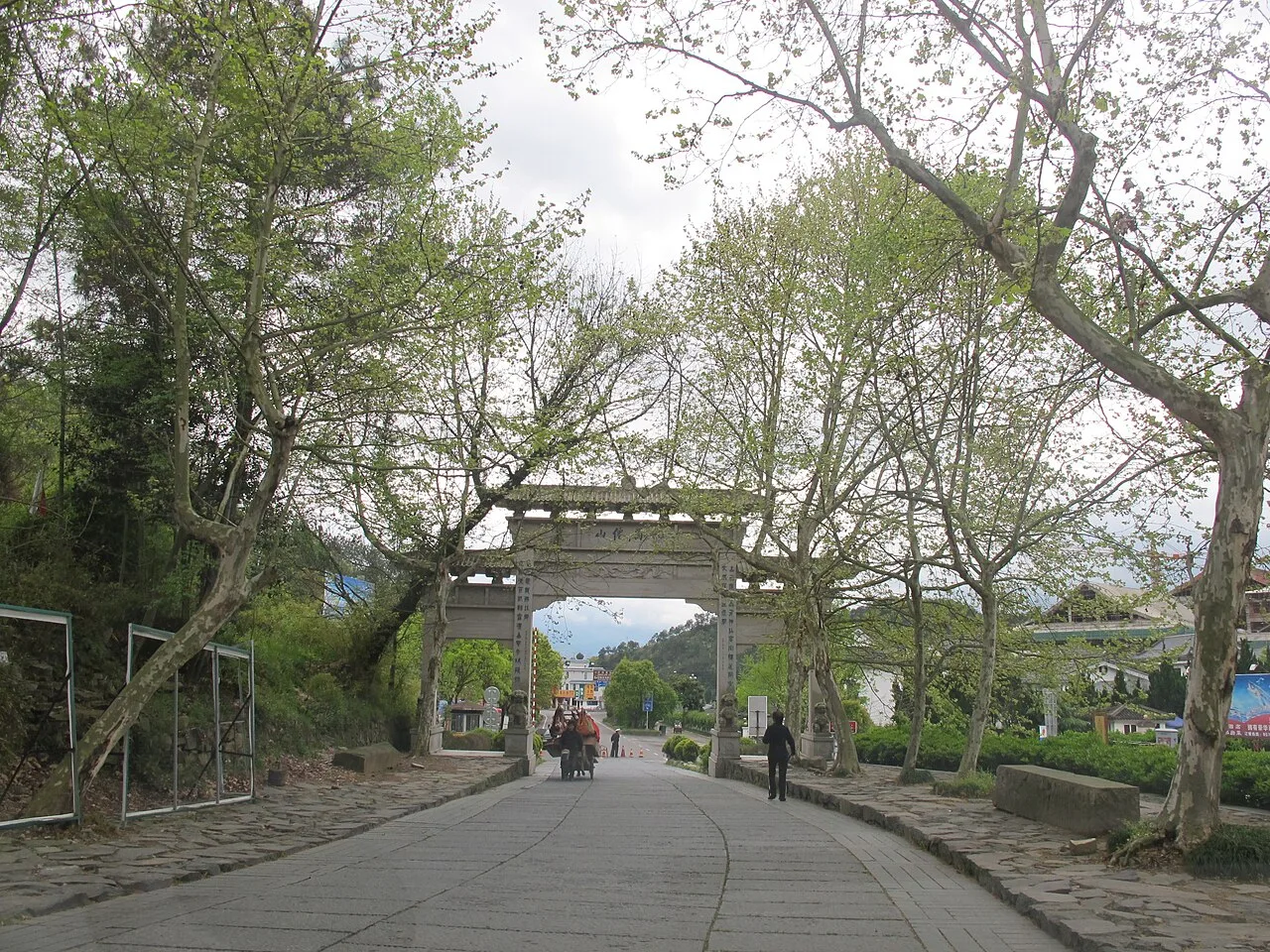 国清寺山门前的林荫参访道