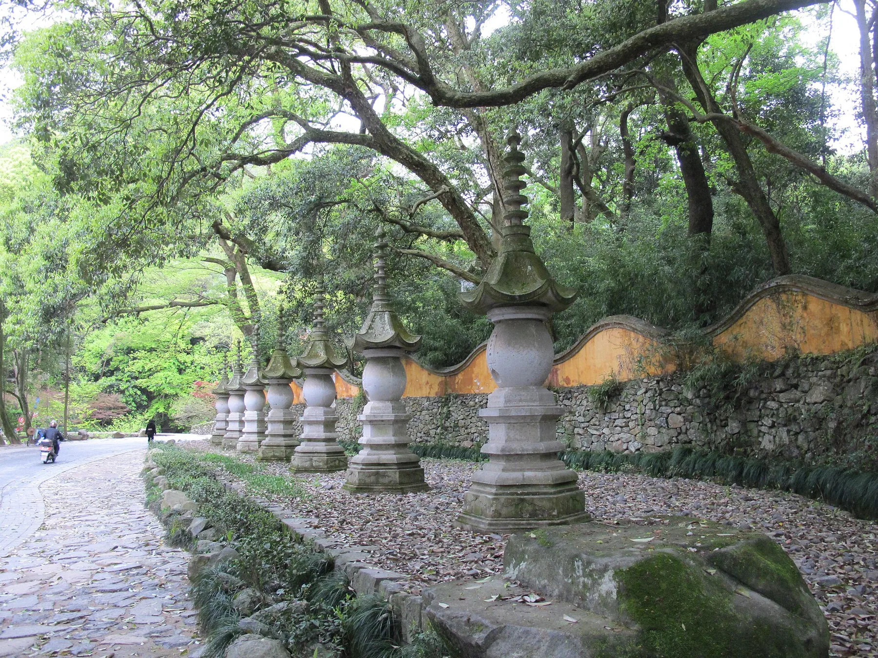 国清寺景区林荫步道与石塔